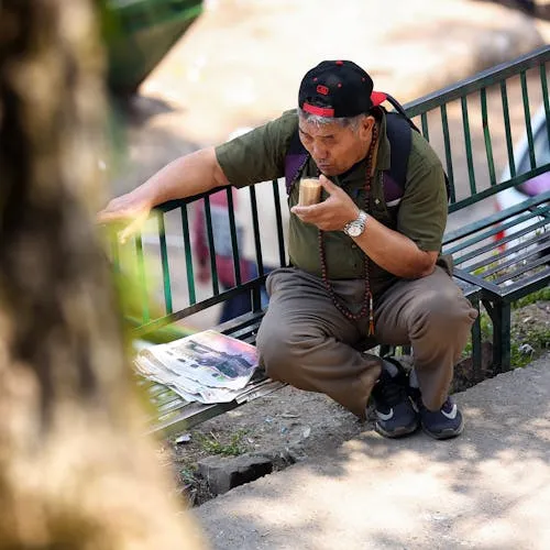 Đỗ Quyên avatar